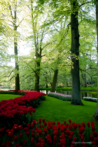 Keukenhof
