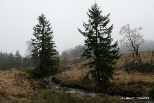 21-12 Signal de Botrange