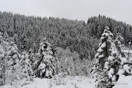 Vallei van de Warche