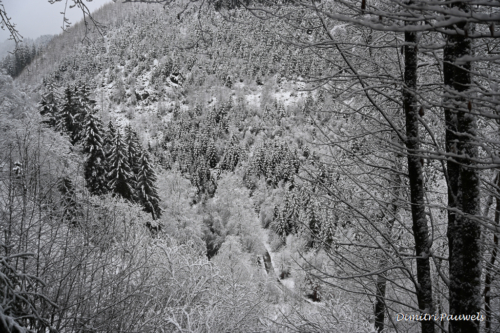 Vallei van de Warche