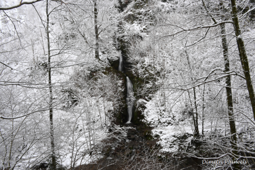 Cascade de Reinhardstein